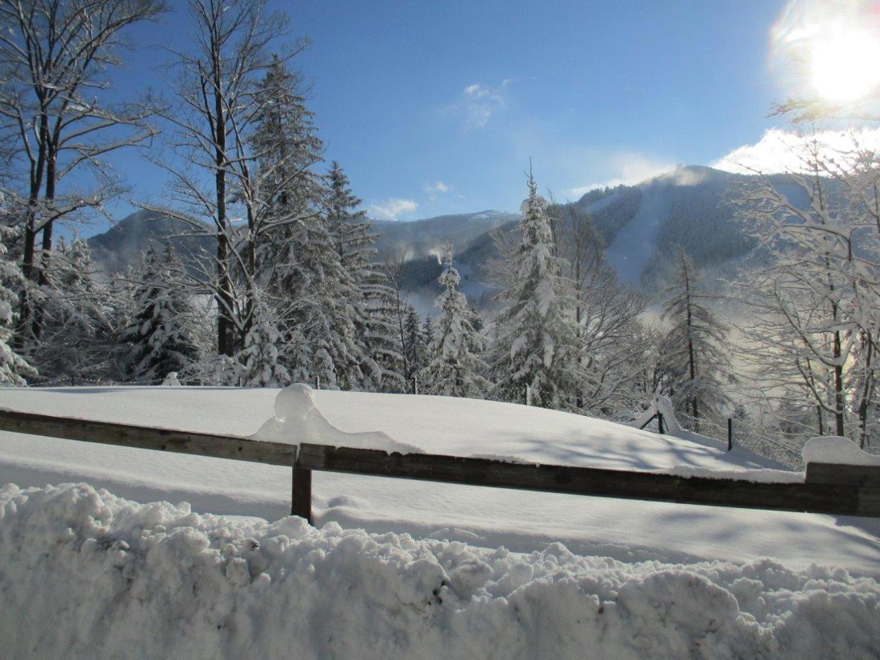 Semmering Villa Sonnenschein Kültér fotó
