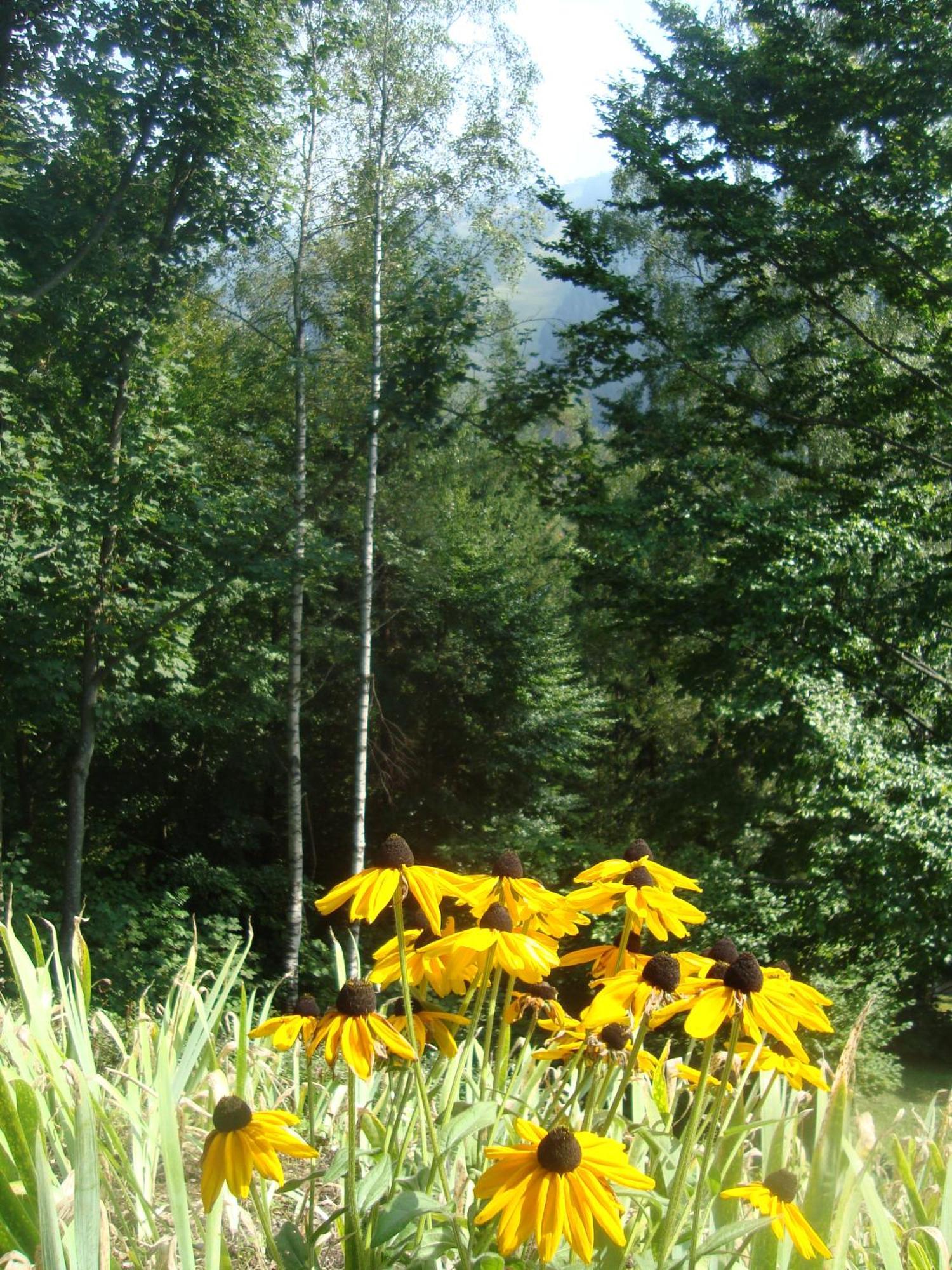 Semmering Villa Sonnenschein Kültér fotó